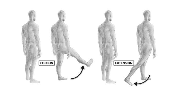 What three joint actions comprise triple flexion