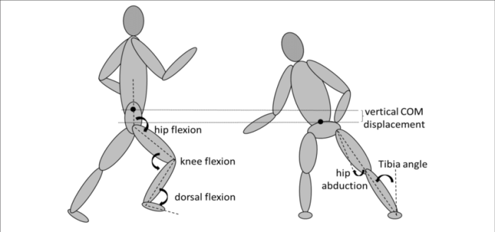 Flexion knees rodilla isquiotibial joints crossfit femur tibia