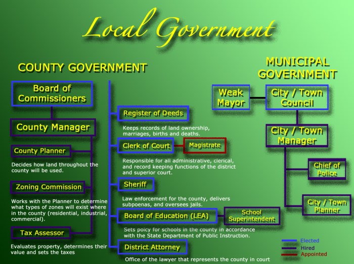 Graphic organizer three branches of government