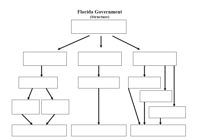 Graphic organizer three branches of government