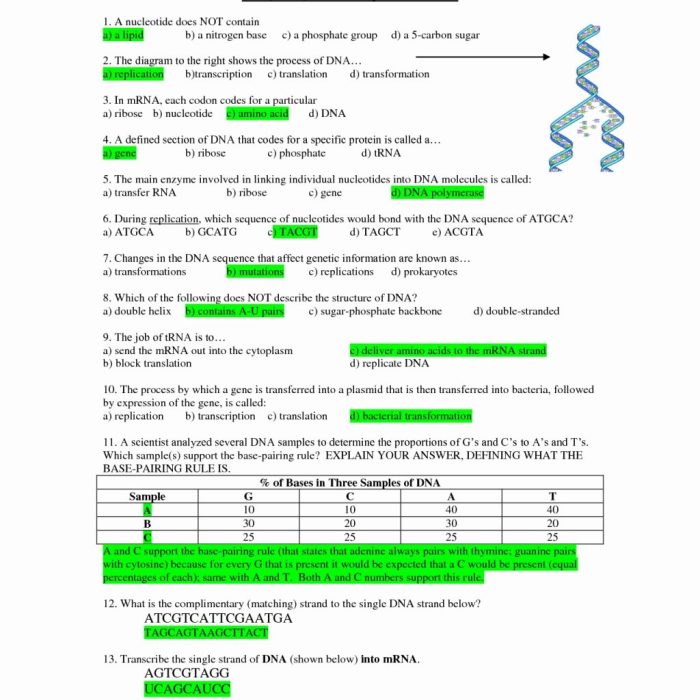 Practice dna structure and replication worksheet answers