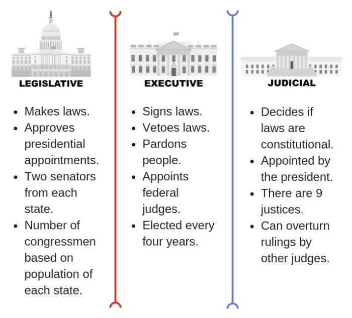 Graphic organizer three branches of government