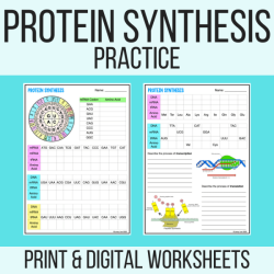 Protein synthesis practice worksheet answers