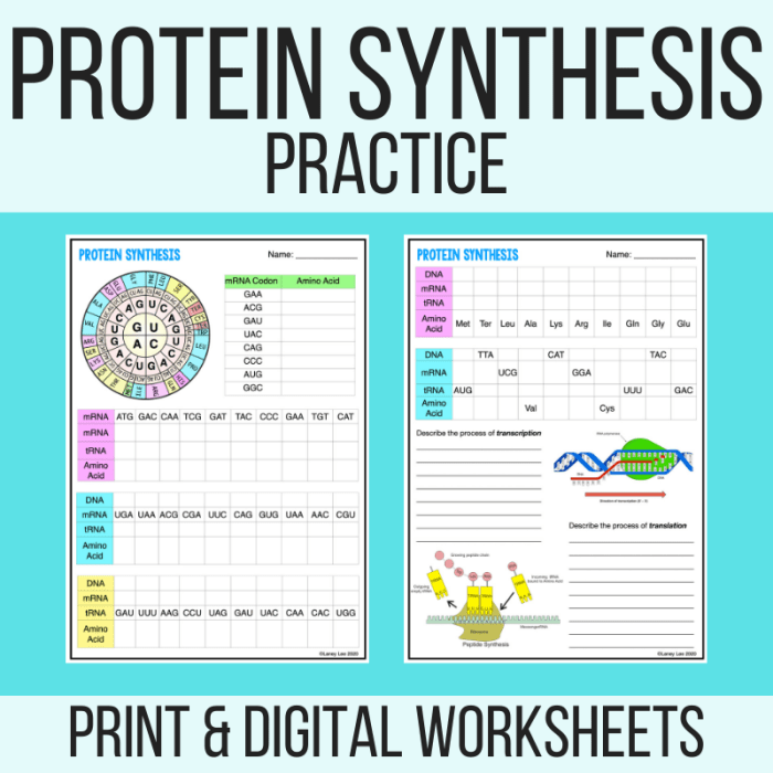 Protein synthesis practice worksheet answers