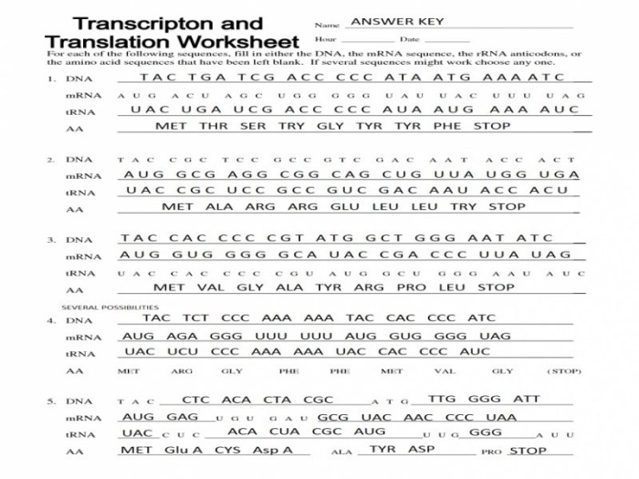 Protein synthesis practice worksheet answers